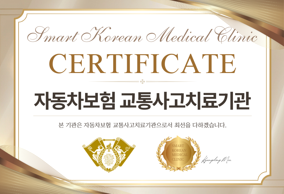 자동차보험진료기관